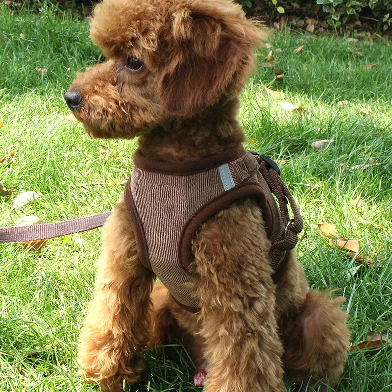 Corduroy Dog Harness/ Vest & Leash Set