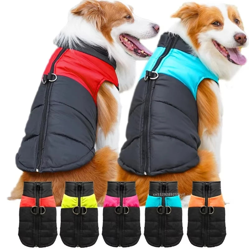 Waterproof Warm Dog Coat – Winter Jacket for All Sizes