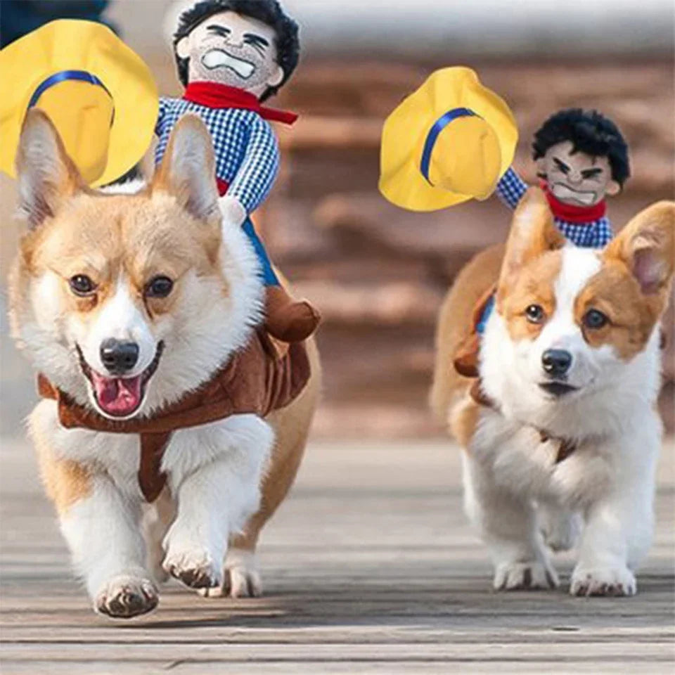 Funny Cowboy Rider Dog Costume