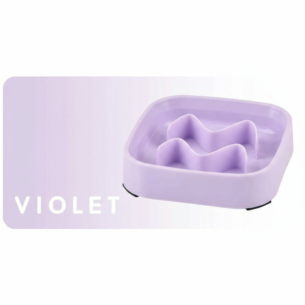 Slow Feeder Pet Bowl – Anti-Choking Food & Water Dish