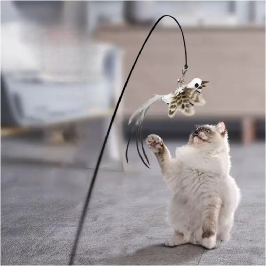 Feather Bird Cat Teaser Toy – Interactive Wand with Bell & Suction Base