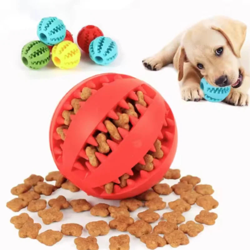 Interactive Chew & Treat Ball