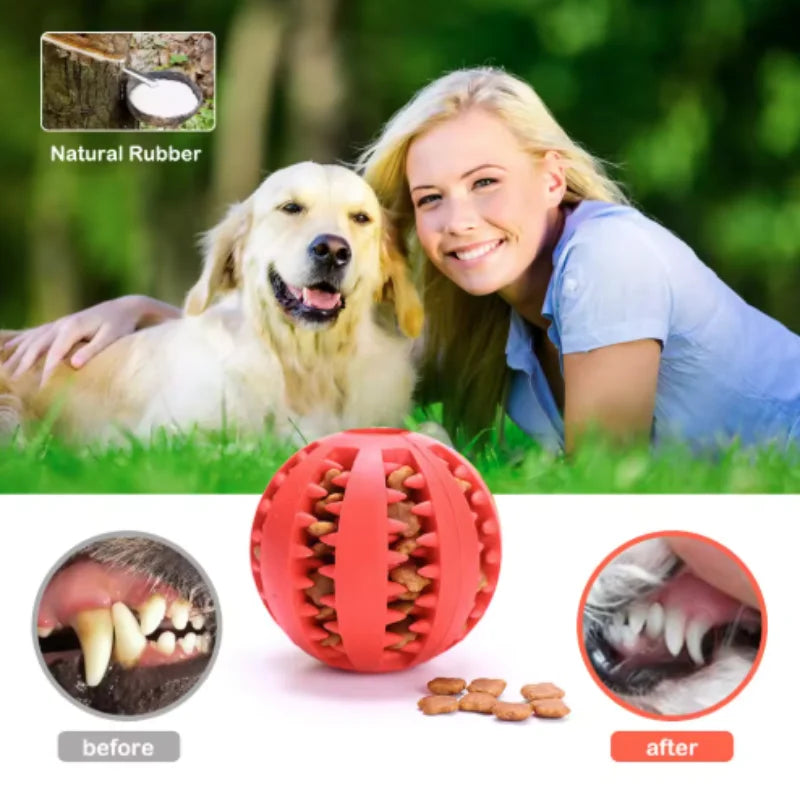 Interactive Chew & Treat Ball
