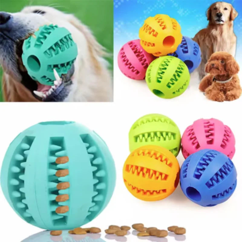 Interactive Chew & Treat Ball