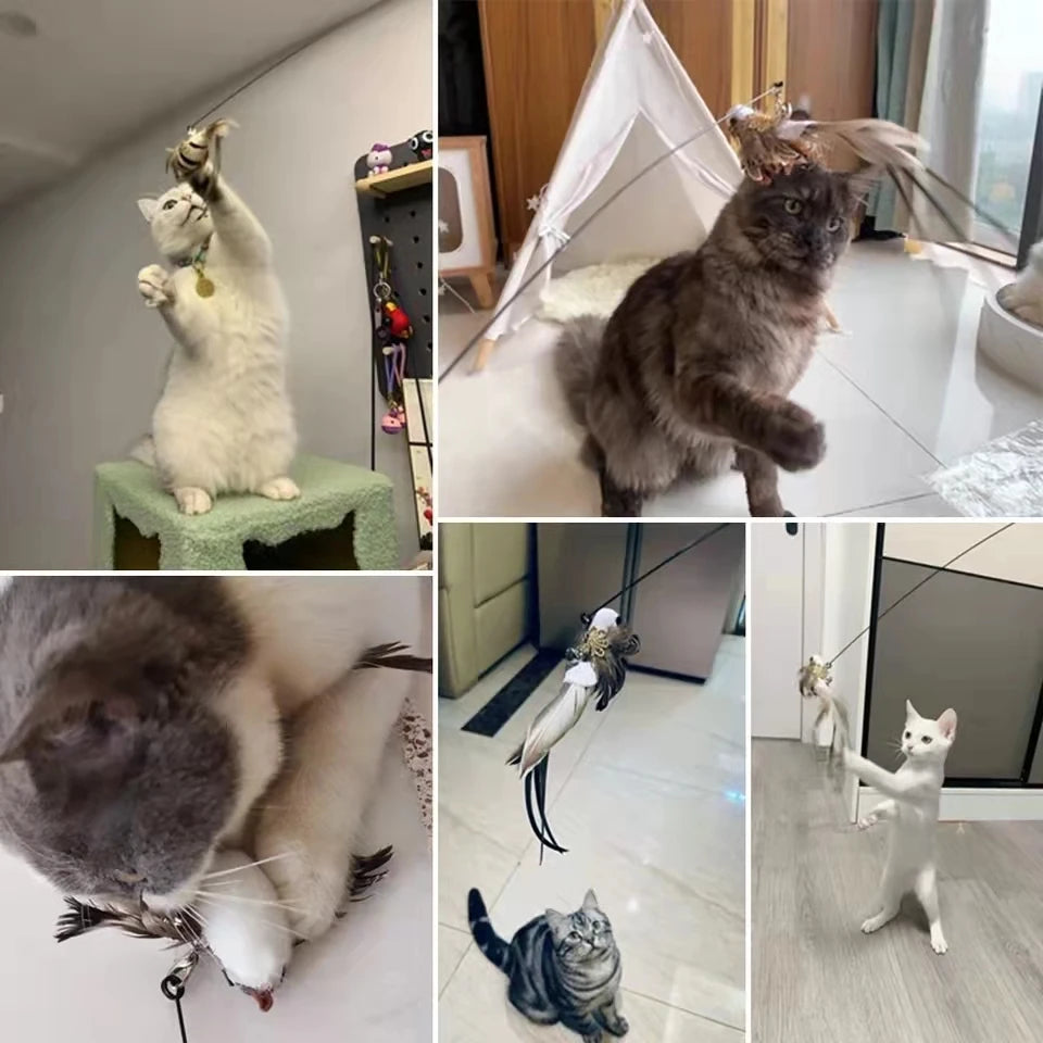 Feather Bird Cat Teaser Toy – Interactive Wand with Bell & Suction Base