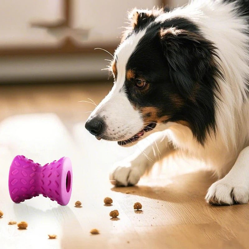 Rubber Hourglass Treat Dispensing Chew Toy