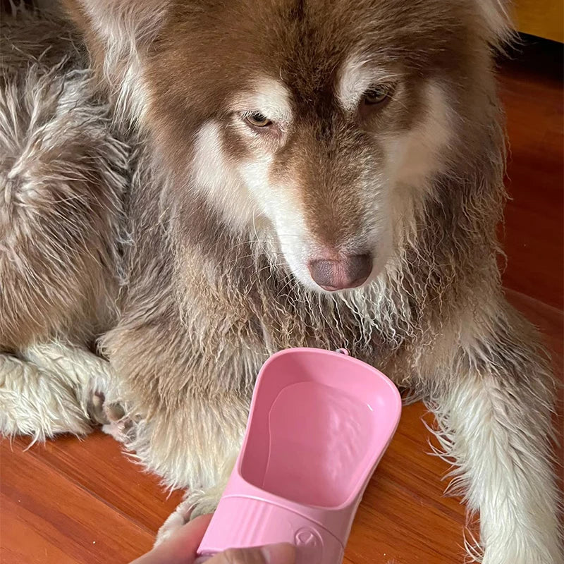 Dual-Use Pet Travel Bottle