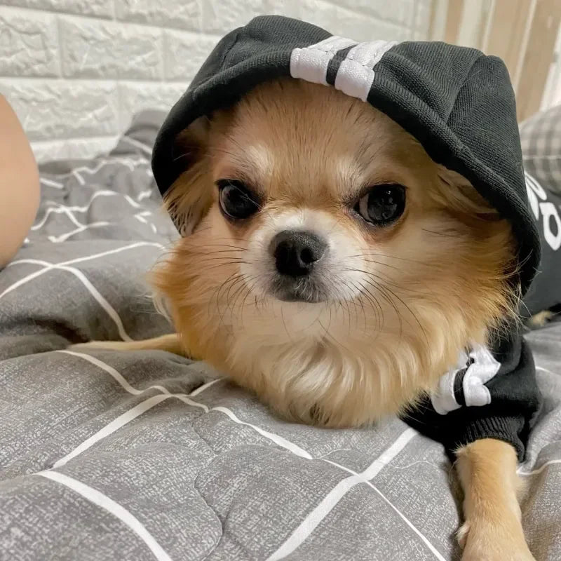 "Adidog" Classic Pet Hoodie