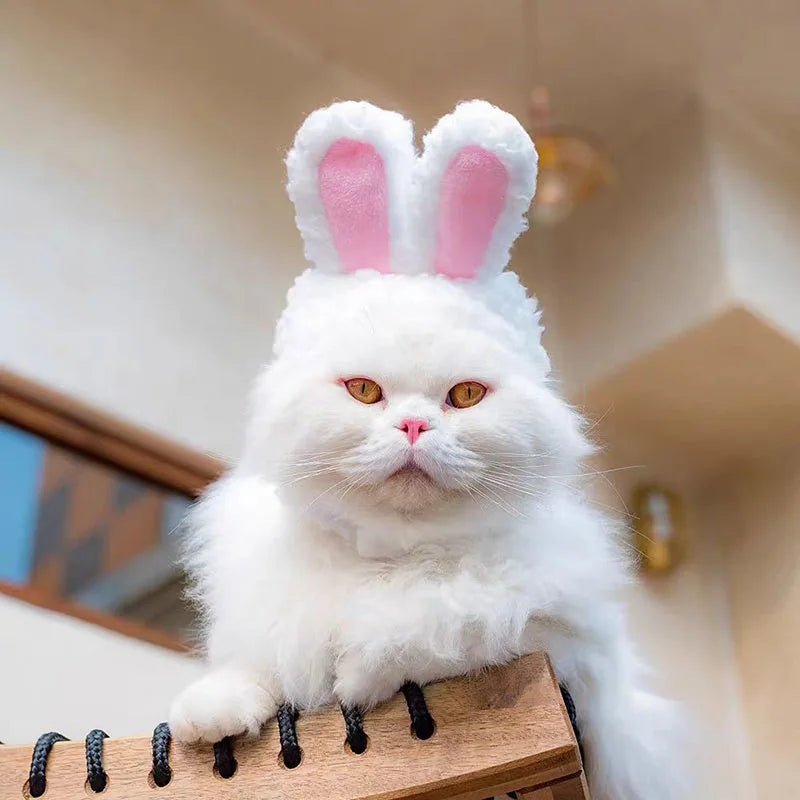 Cozy Critter Ears Pet Hats (Bear and Rabbit)