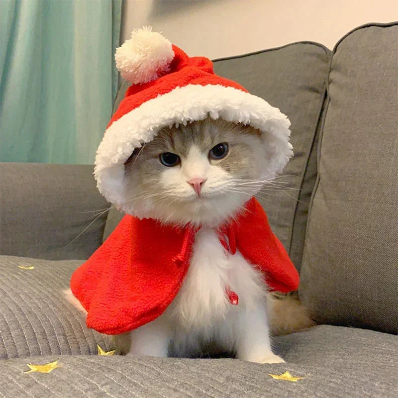 Christmas Cat Cloak – Santa & Reindeer