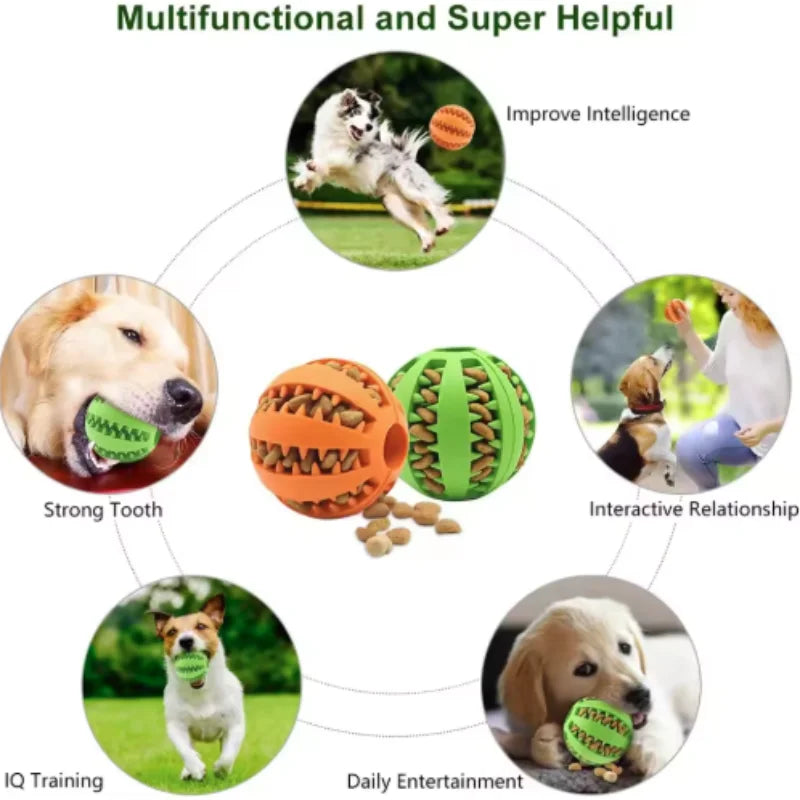 Interactive Chew & Treat Ball